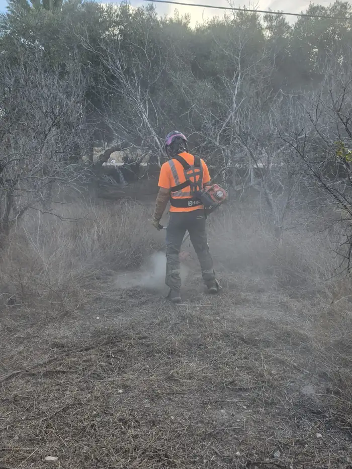 Operario desbrozando la parcela con desbrozadora forestal en Elche