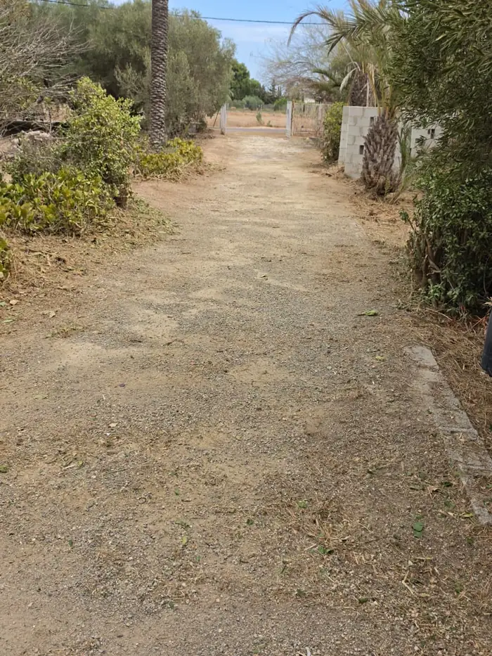 Acceso a finca limpio tras el desbroce en Elche